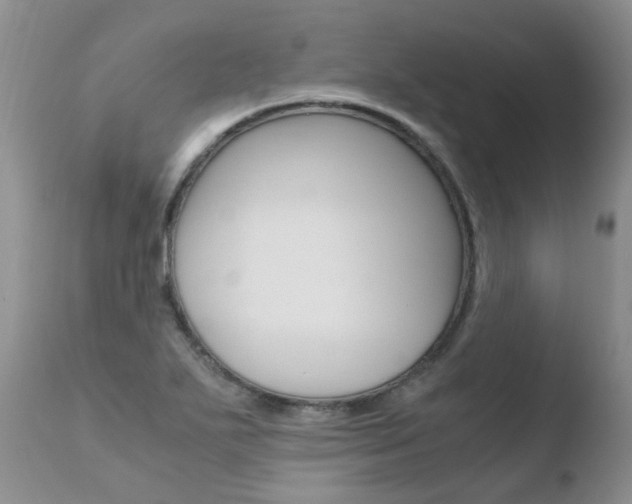 X0000110771271200906150945