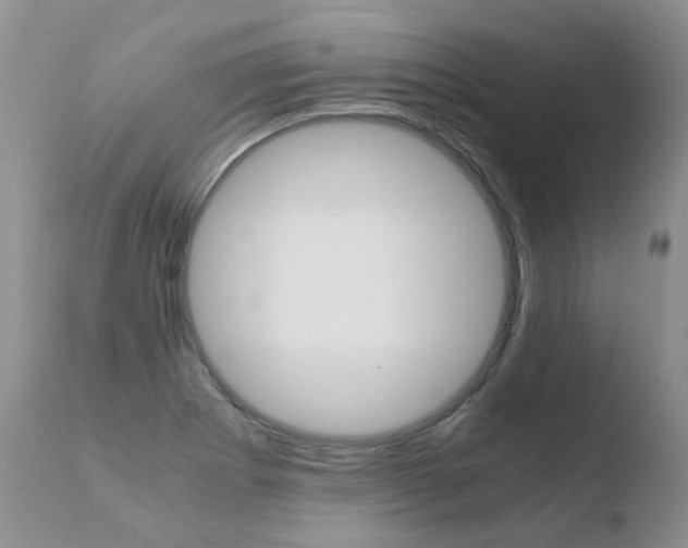 X0000110771273200906150945