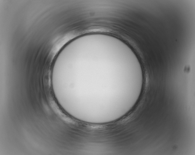 X0000110771274200906150945
