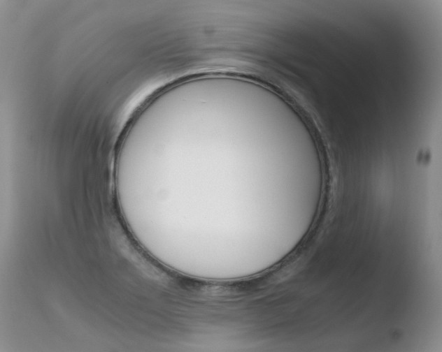 X0000110771275200906150945
