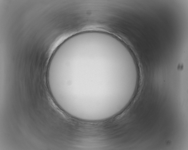 X0000110771277200906150945