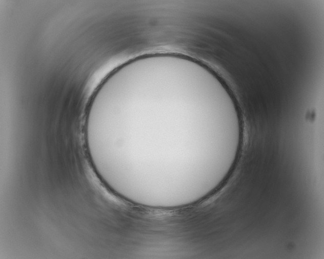 X0000110771278200906150945