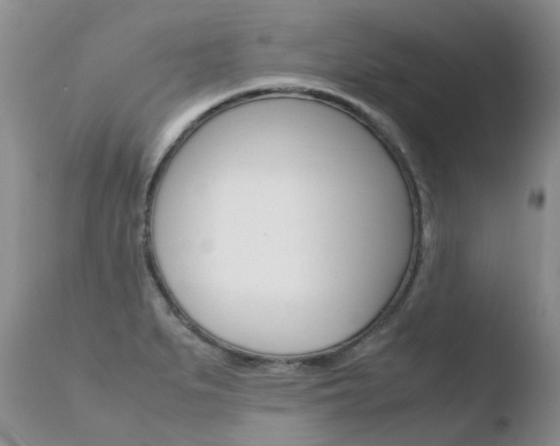 X0000110771279200906150945