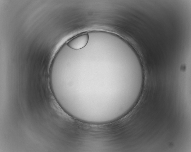 X0000110771280200906150945