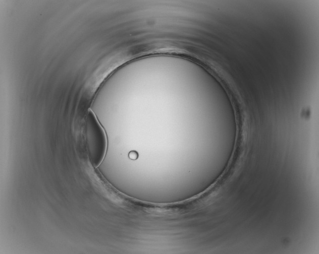 X0000110771281200906150945