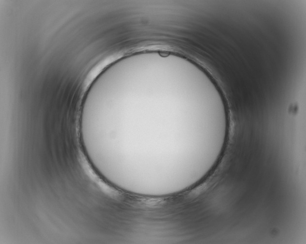 X0000110771282200906150945