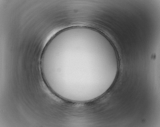 X0000110771283200906150945