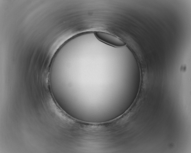 X0000110771284200906150945