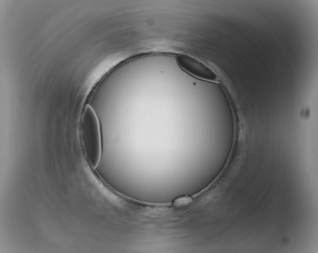 X0000110771285200906150945