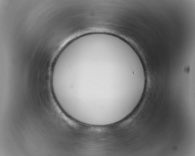 X0000110771286200906150945