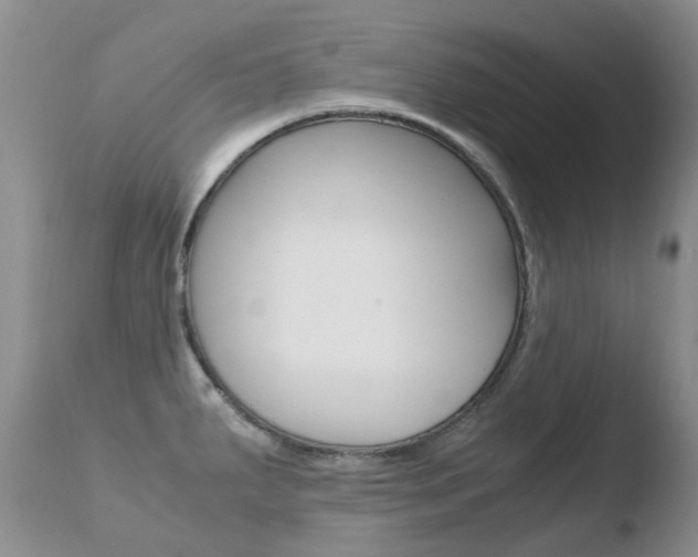 X0000110771287200906150945