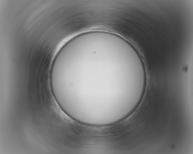 X0000110771288200906150945