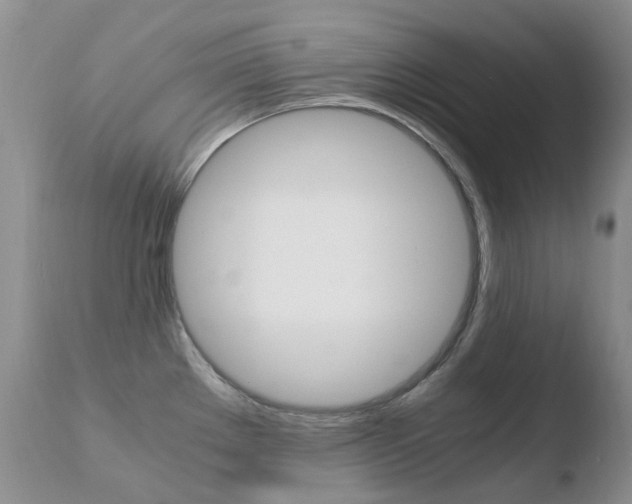 X0000110771289200906150945