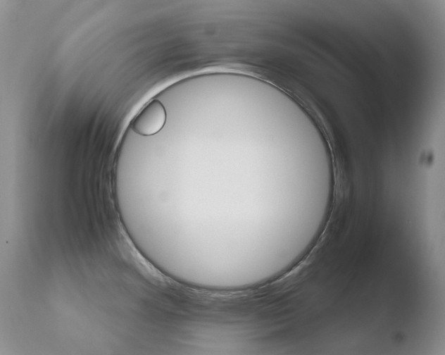 X0000110771292200906150945