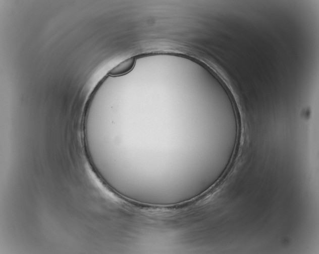 X0000110771293200906150945