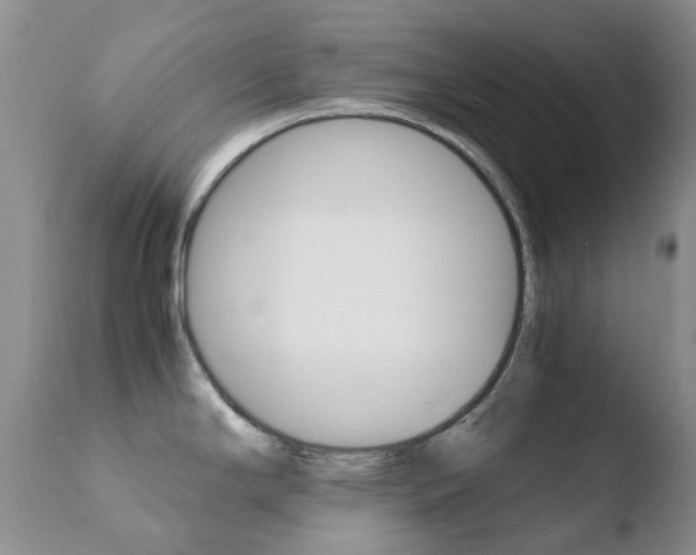 X0000110771294200906150945