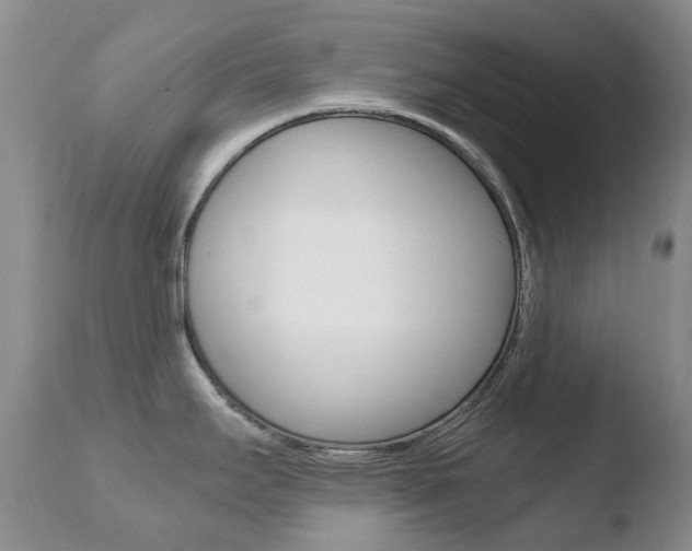 X0000110771295200906150945