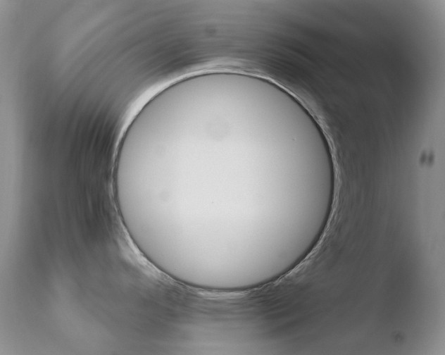 X0000110771296200906150945