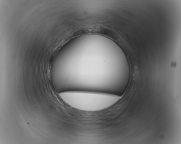 X0000110771298200906150944