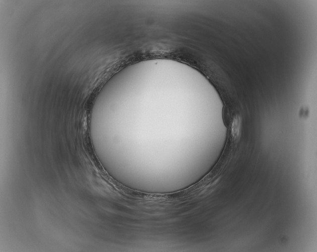 X0000110771299200906150944