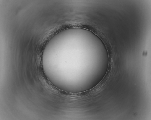 X0000110771300200906150944