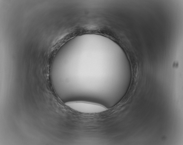 X0000110771301200906150944