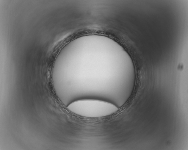 X0000110771302200906150944