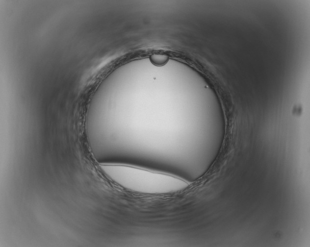 X0000110771303200906150944