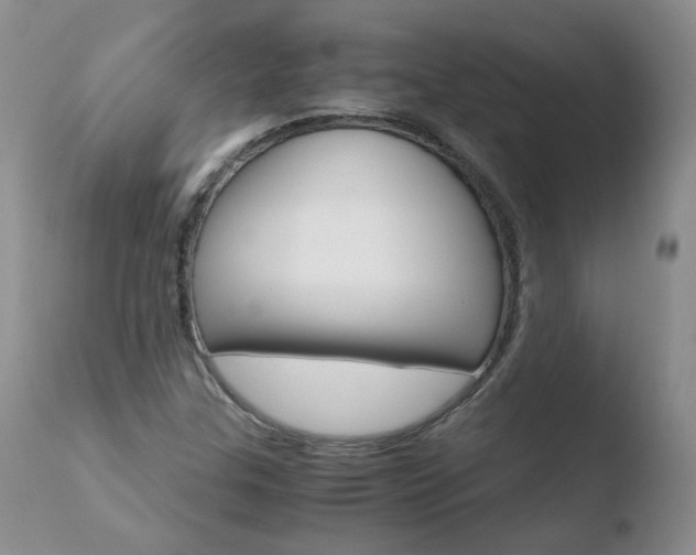 X0000110771307200906150944