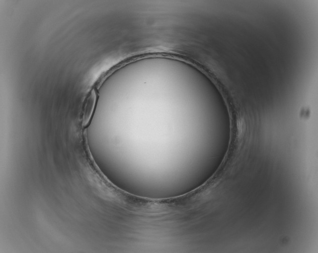 X0000110771308200906150944