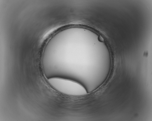 X0000110771311200906150944