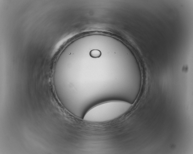 X0000110771312200906150944