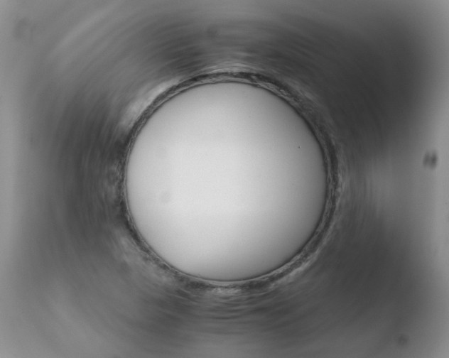 X0000110771313200906150944