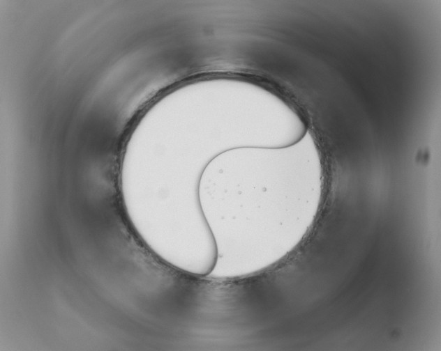 X0000110771314200906150944