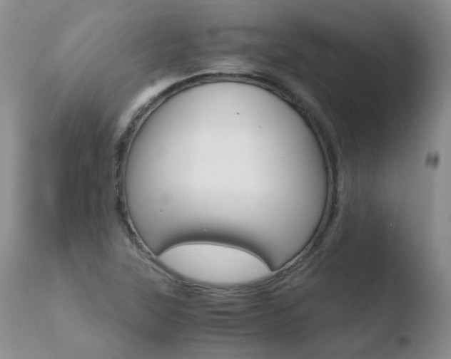 X0000110771315200906150944