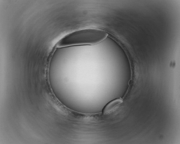 X0000110771316200906150944