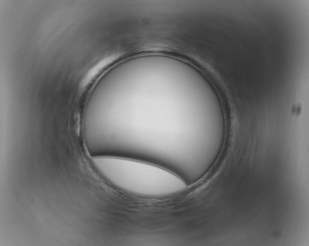 X0000110771317200906150944