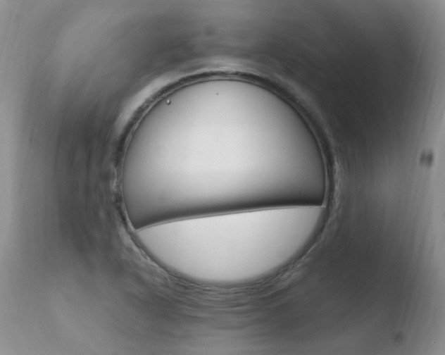 X0000110771318200906150944