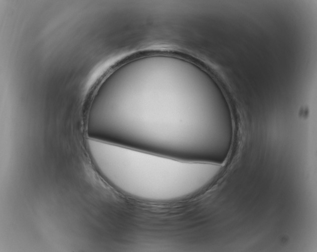 X0000110771319200906150944