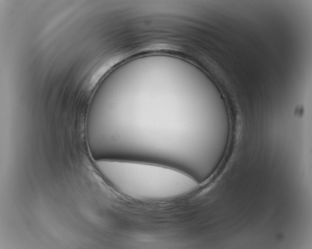 X0000110771321200906150944