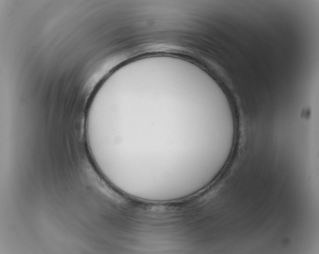 X0000110771322200906150944