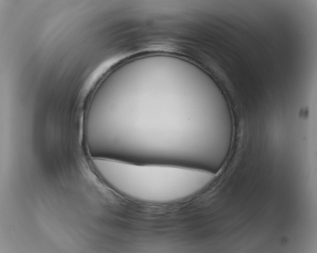 X0000110771323200906150944