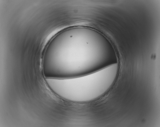 X0000110771324200906150944