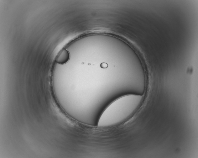 X0000110771325200906150944