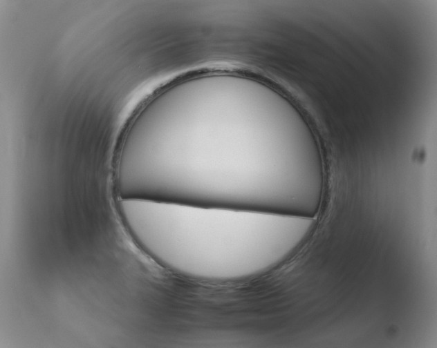 X0000110771327200906150944