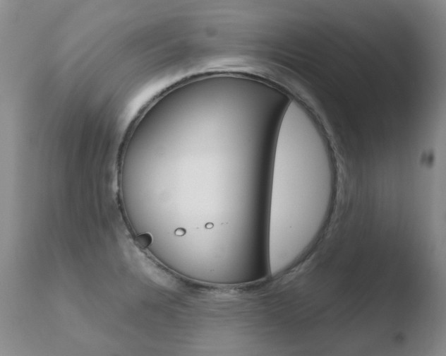 X0000110771328200906150944