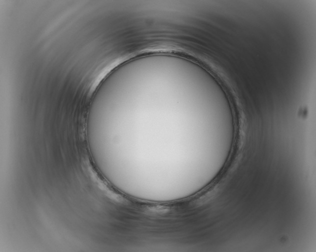 X0000110771329200906150944