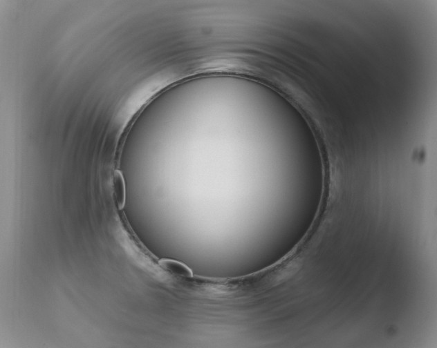 X0000110771330200906150944