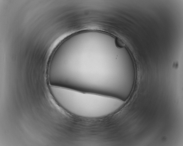 X0000110771331200906150944