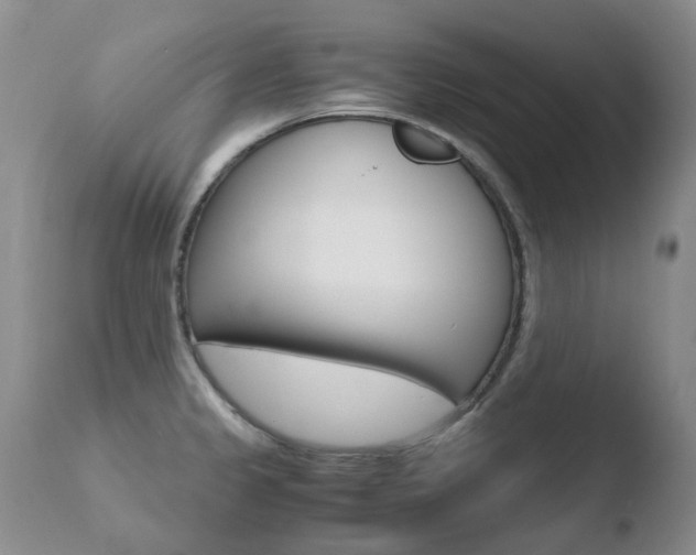 X0000110771333200906150944